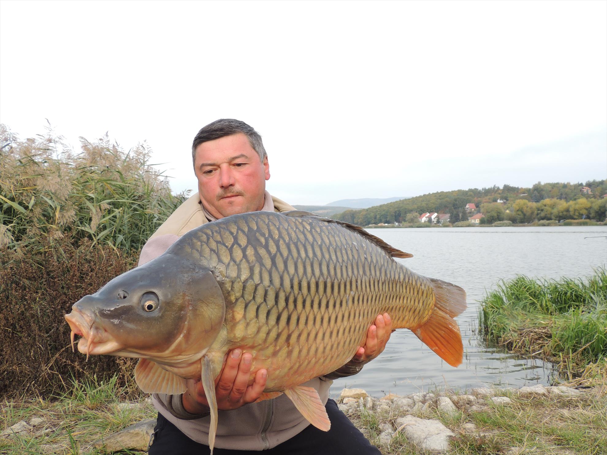 harsany 2013 - dscn1737.JPG